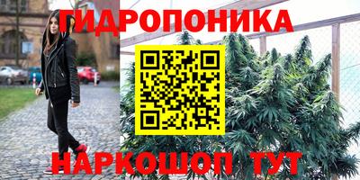 амф Дубна