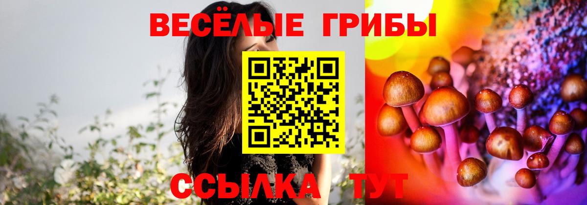 Галлюциногенные грибы прущие грибы  Вход с VPN  Псилоцибиновые грибы Psilocybe  Менделеевск 